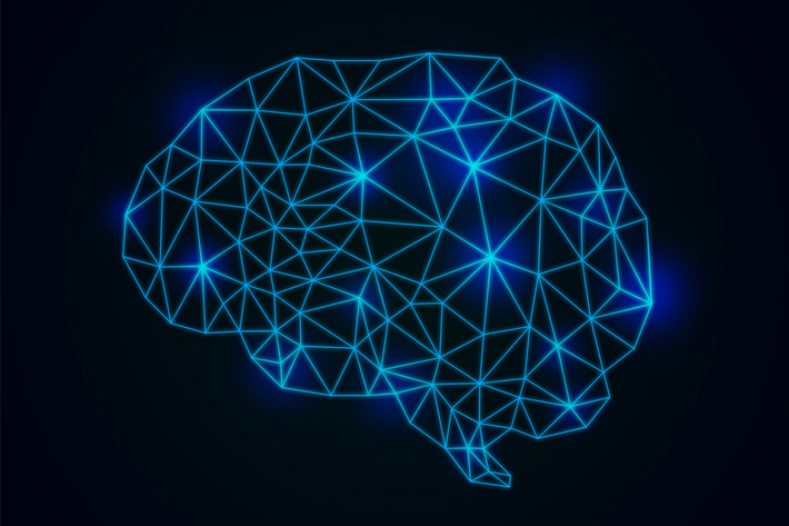 脳の血液の流れのイラスト画像